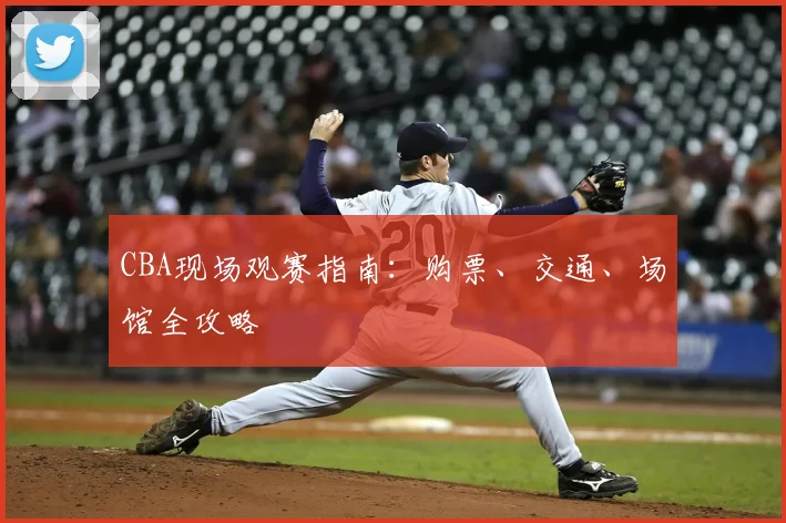 CBA现场观赛指南：购票、交通、场馆全攻略