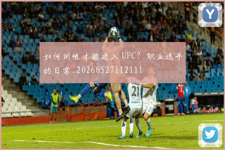 如何训练才能进入 UFC？职业选手的日常_20260527112111