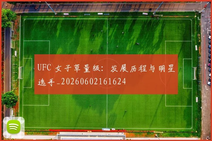 UFC 女子草量级:发展历程与明星选手_20260602161624