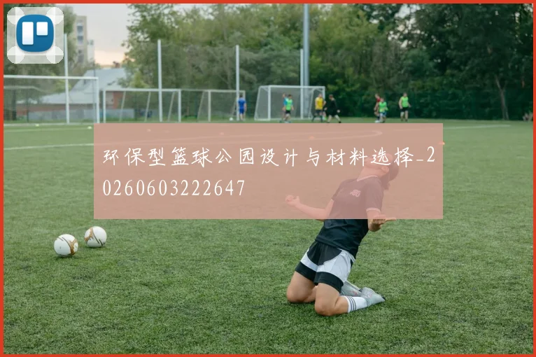 环保型篮球公园设计与材料选择_20260603222647