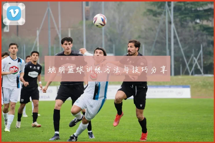 姚明篮球训练方法与技巧分享